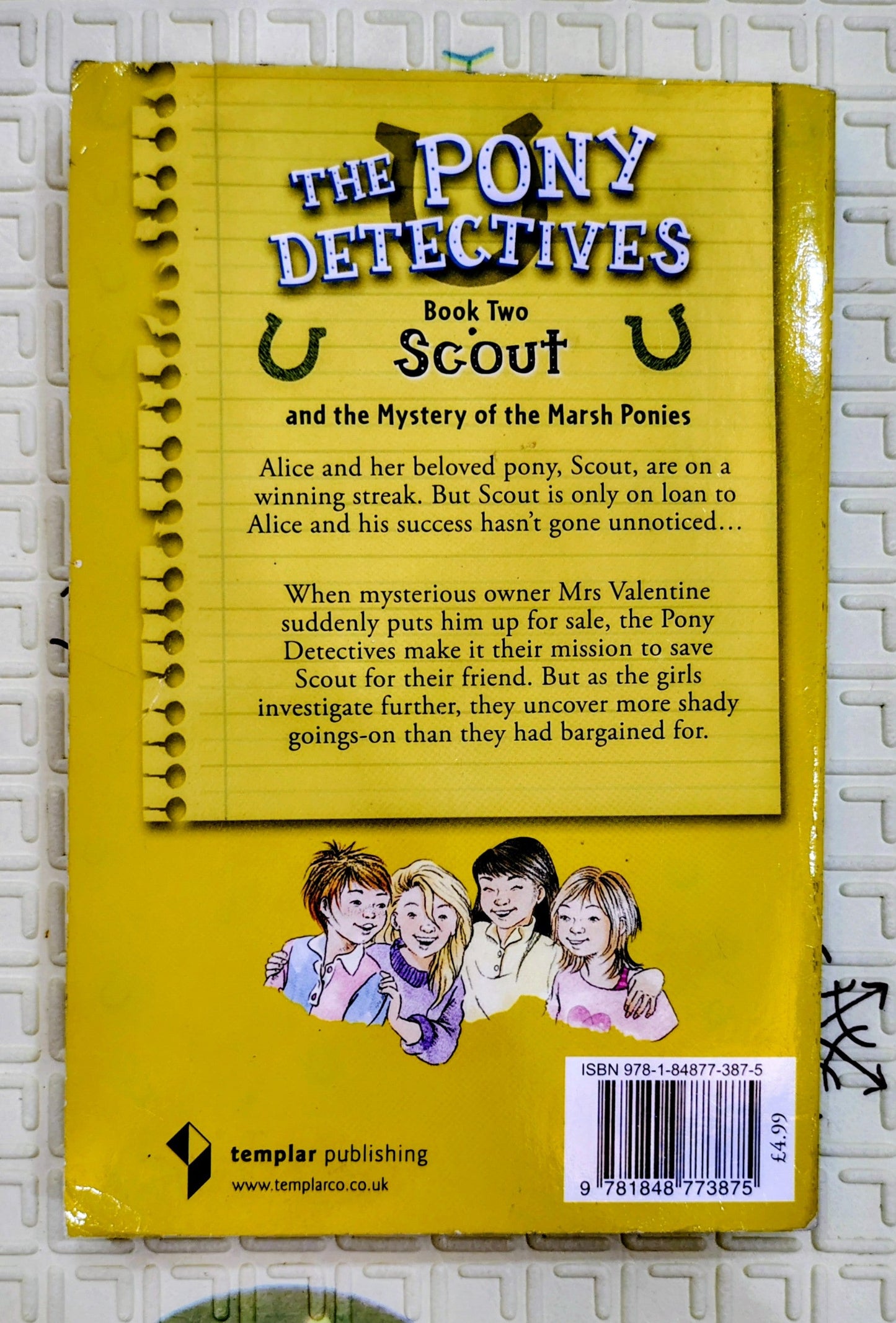 The Pony Detectives by Belinda Rapley | Mystery