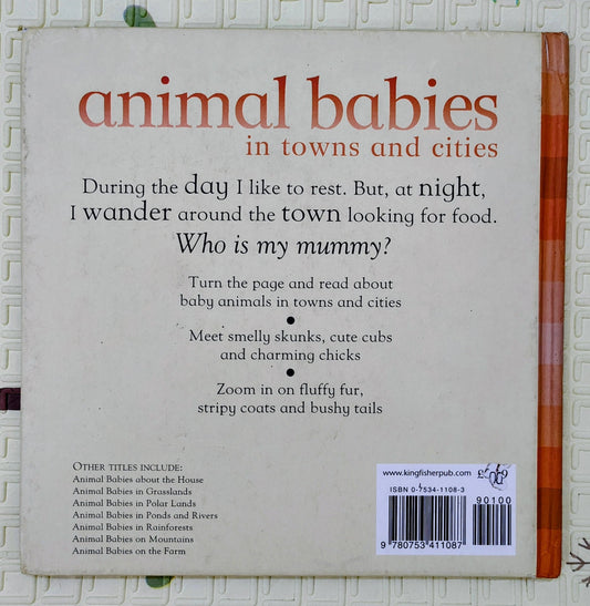 Animal Babies in Towns and Cities | Kingfisher | Educational