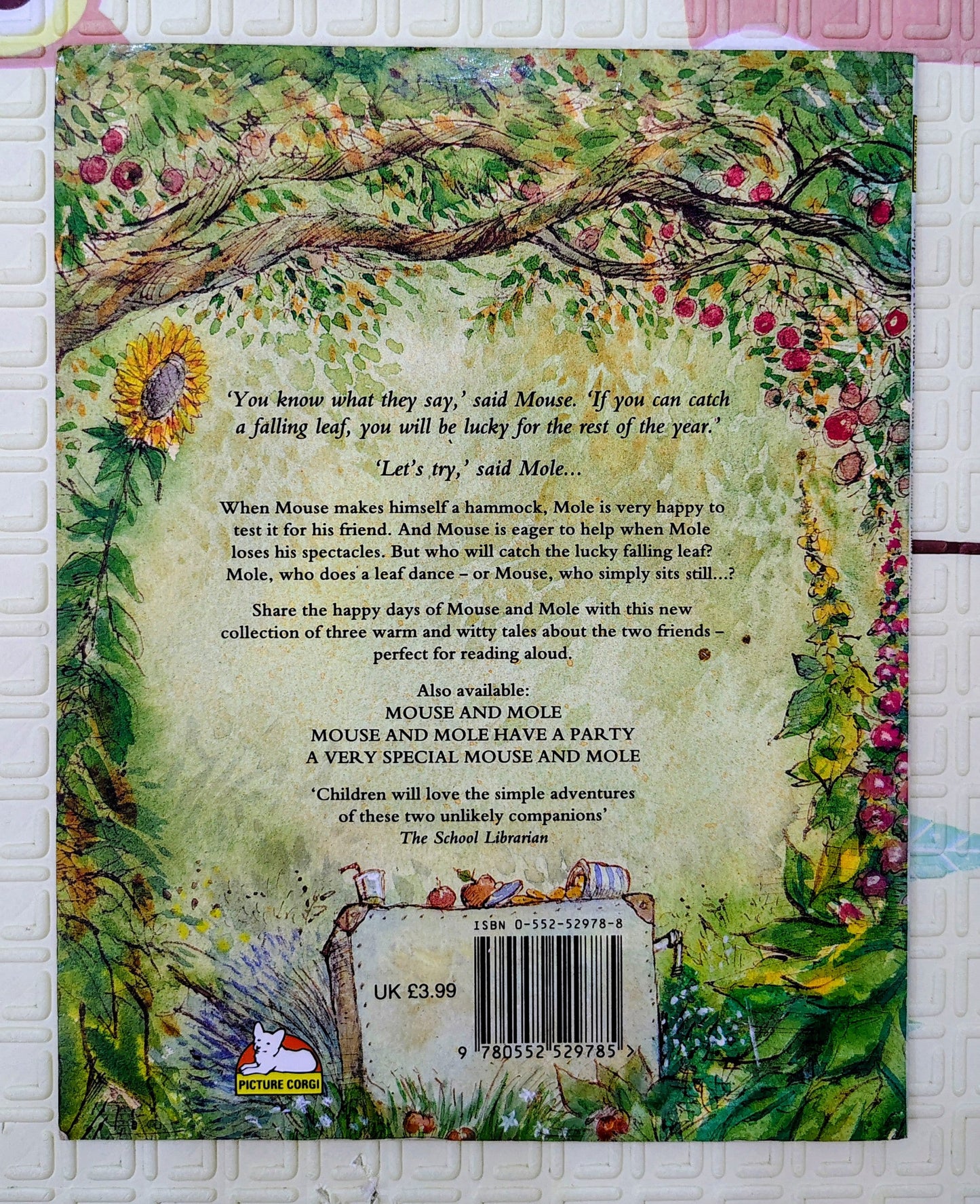 Happy Days for Mouse and Mole by Joyce Dunbar and James Mayhew