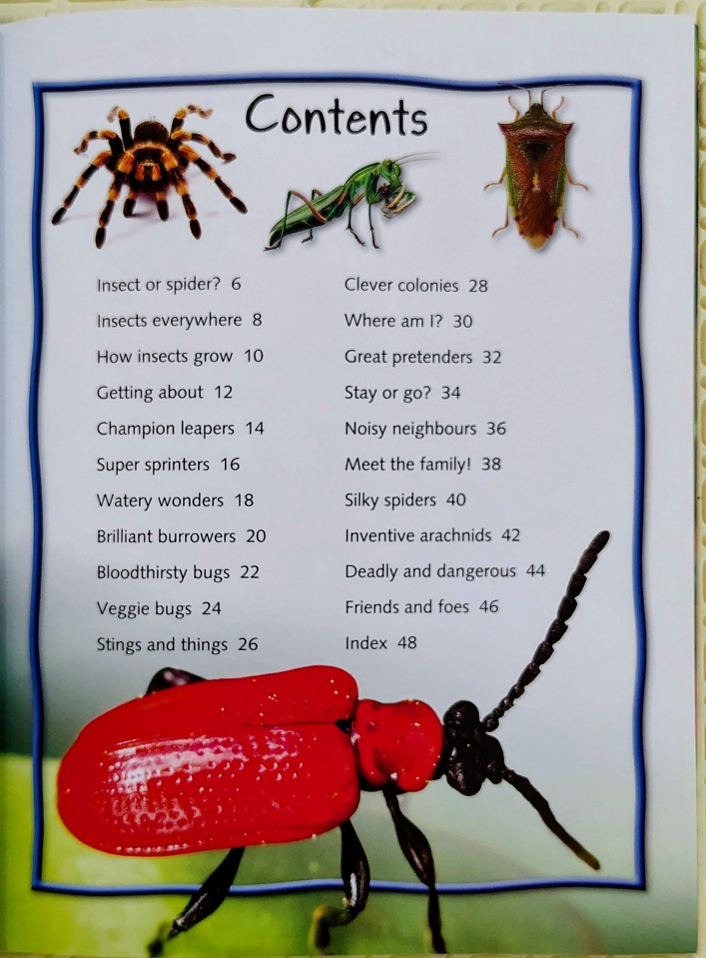 Bugs 100 Facts Pocket Edition | Miles Kelly