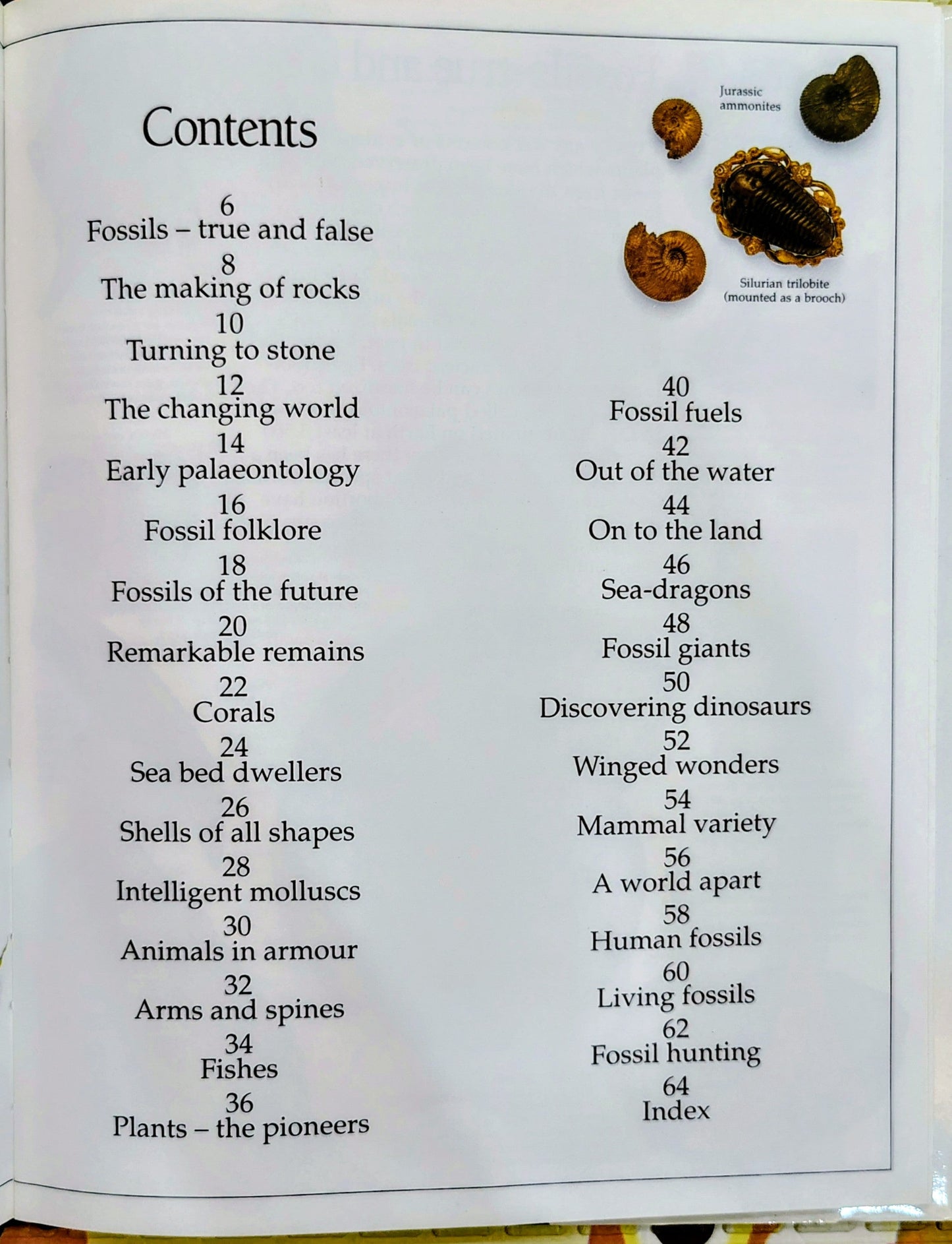 Fossil by DK Eyewitness Guides