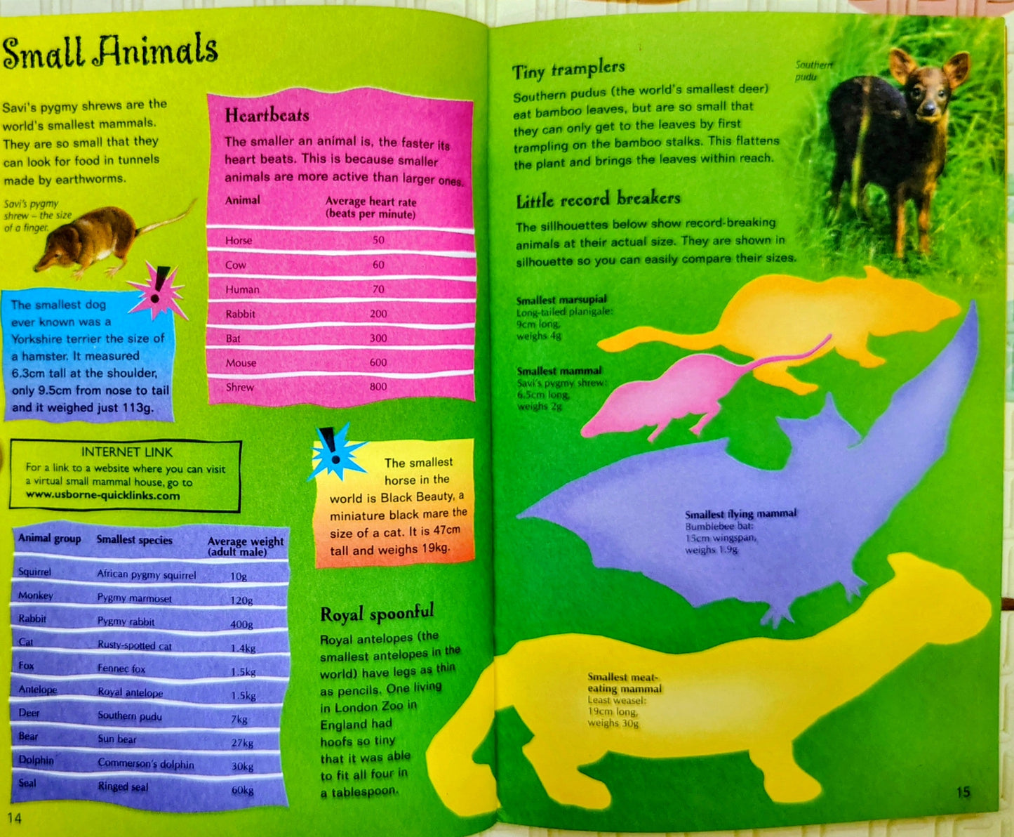 Amazing Animal Facts & Lists by Usborne