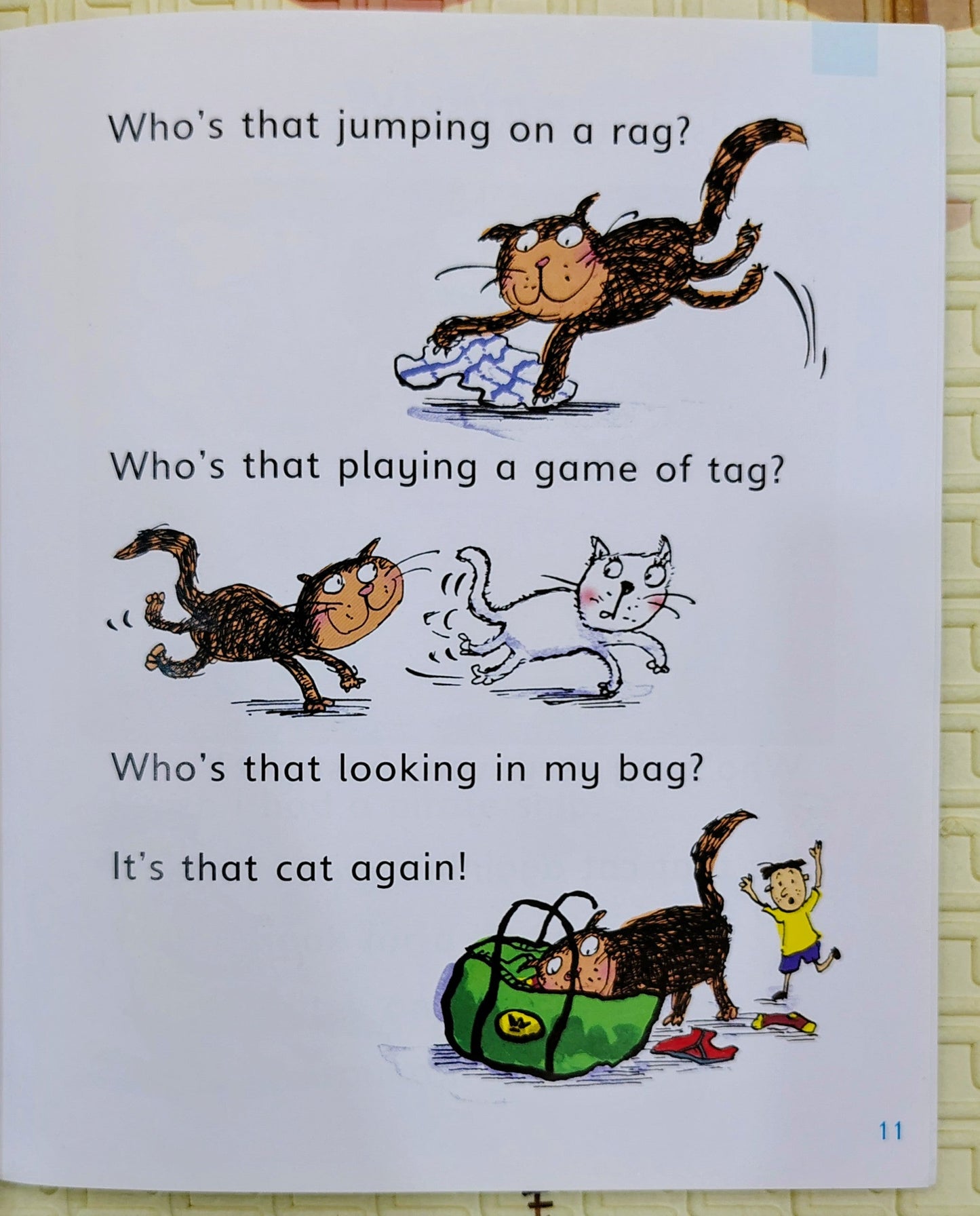 The Zebrapotamus by Ruth Miskin | Superphonics