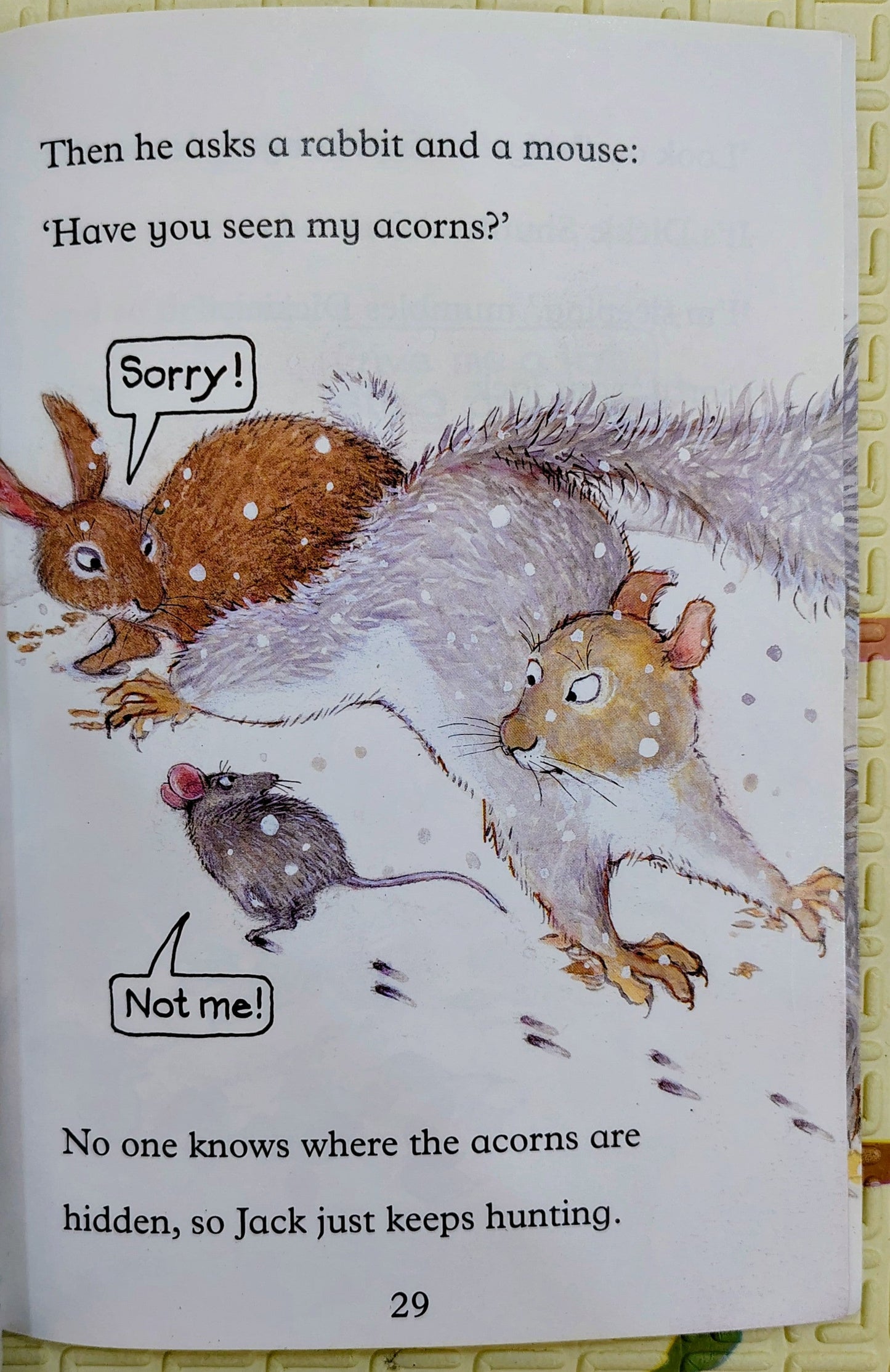 The Nut Map by Susanna Gretz