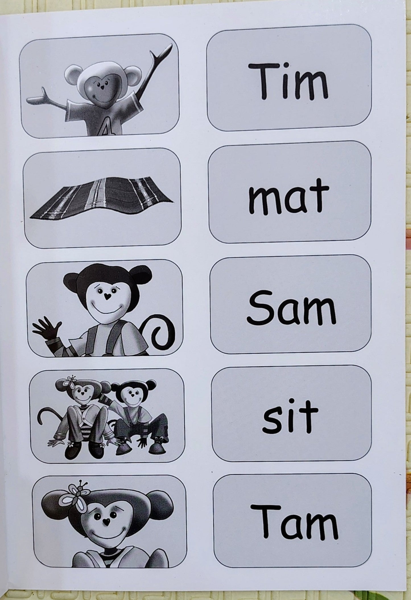 I am Sam by Dandelion Launchers Unit 1B| Phonic Books
