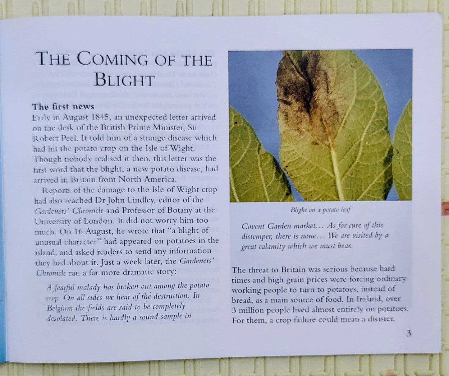 The Irish Famine by Gail Seckamp and Pierce Feirtear | Collins Pathways
