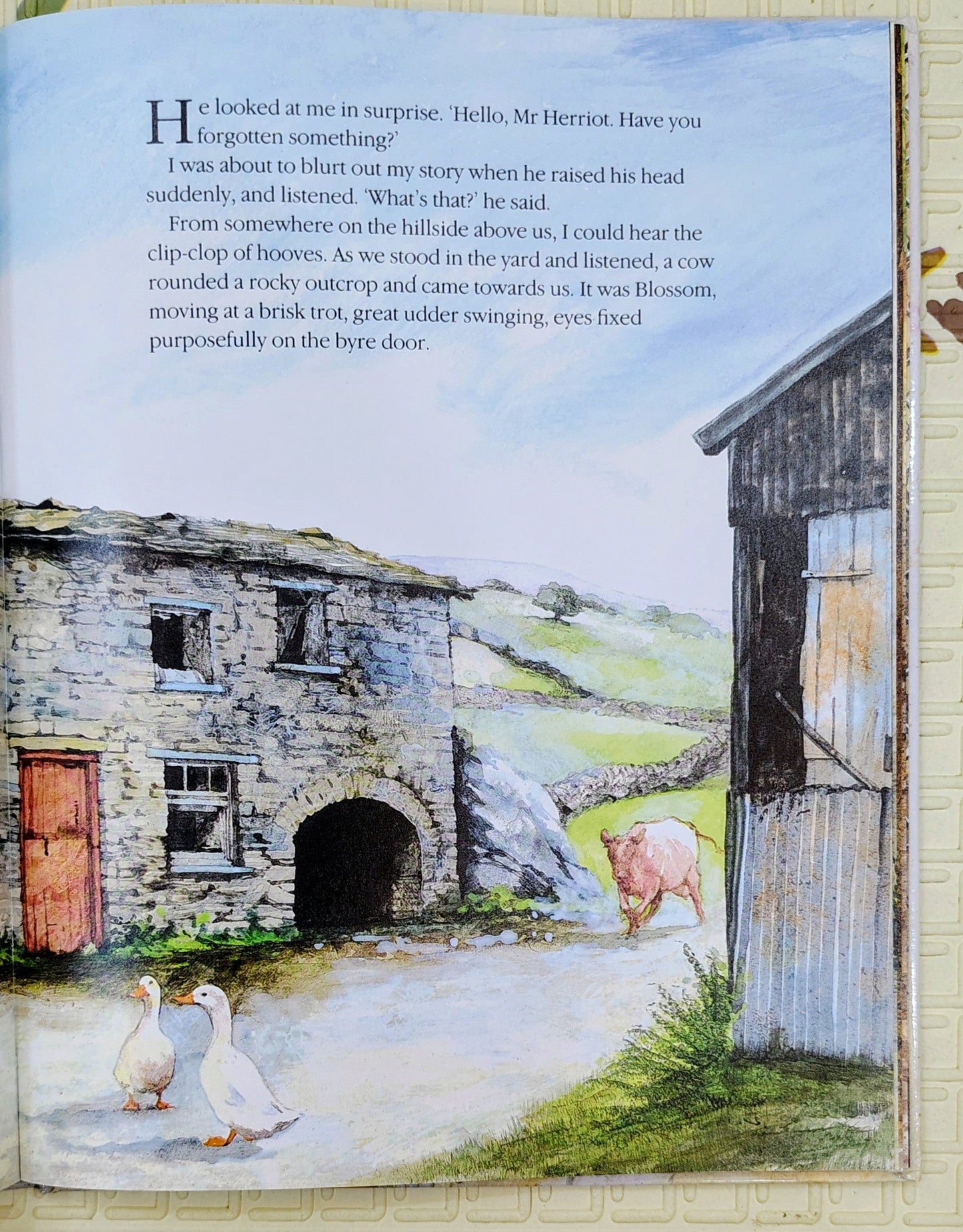 James Herriot's Animal Storybook | Illustrated by Ruth Brown