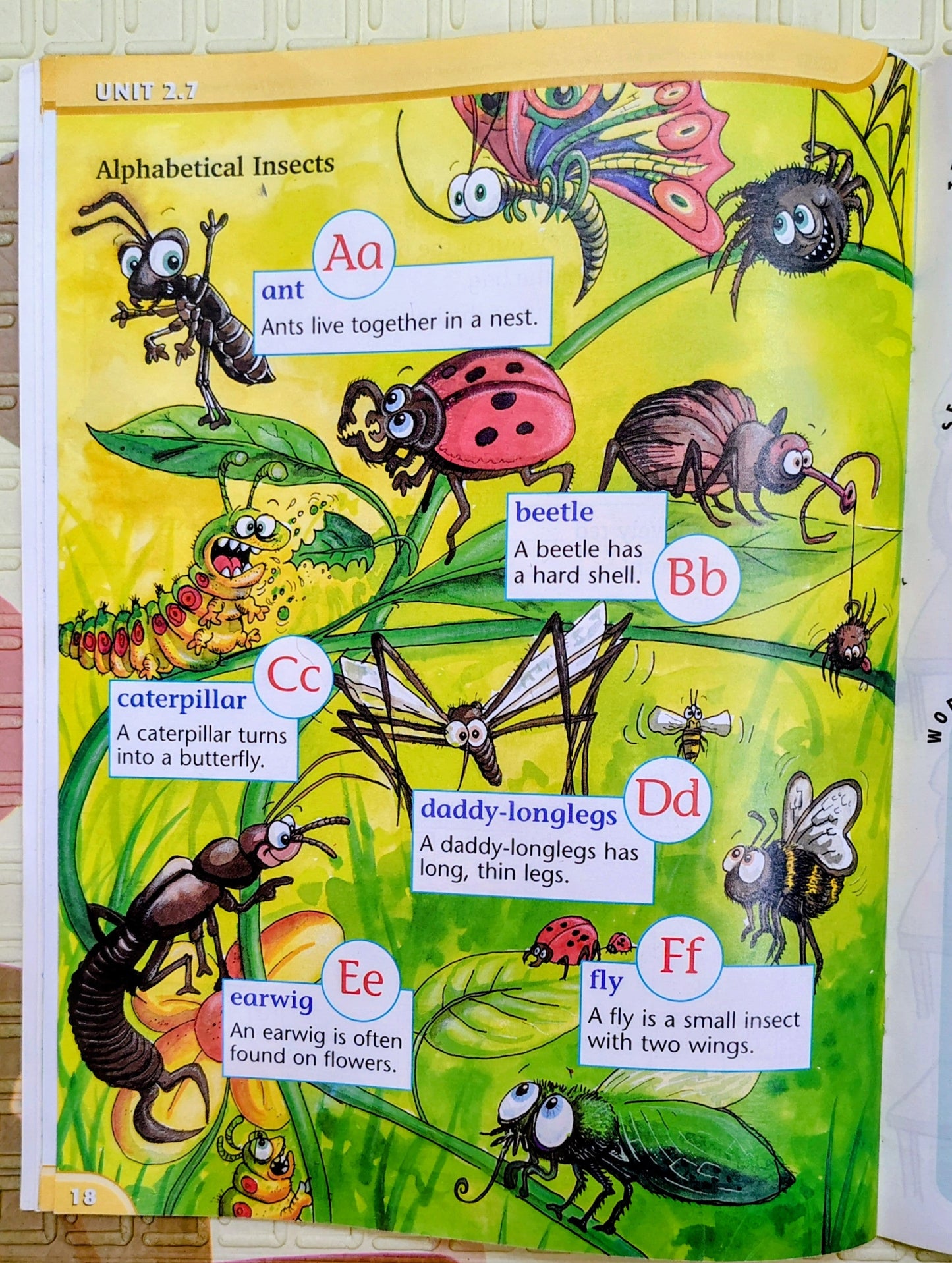 Key Stage 1 Literacy Activity Book | Letts Year 1 Term 2