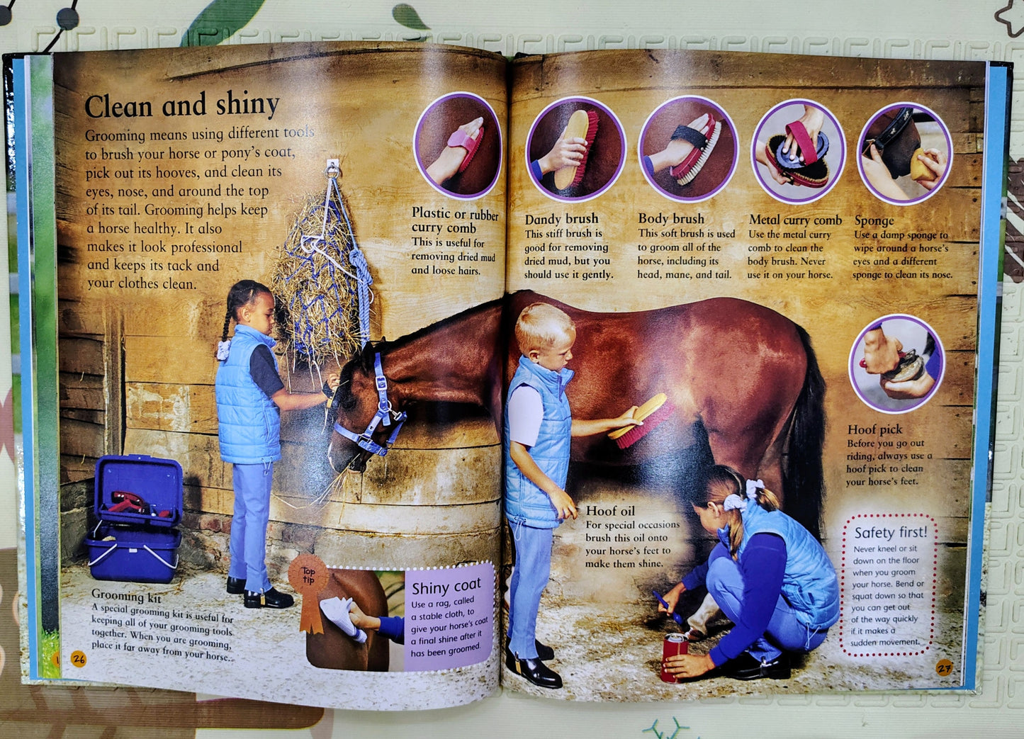 My First Horse and Pony Book by Judith Draper
