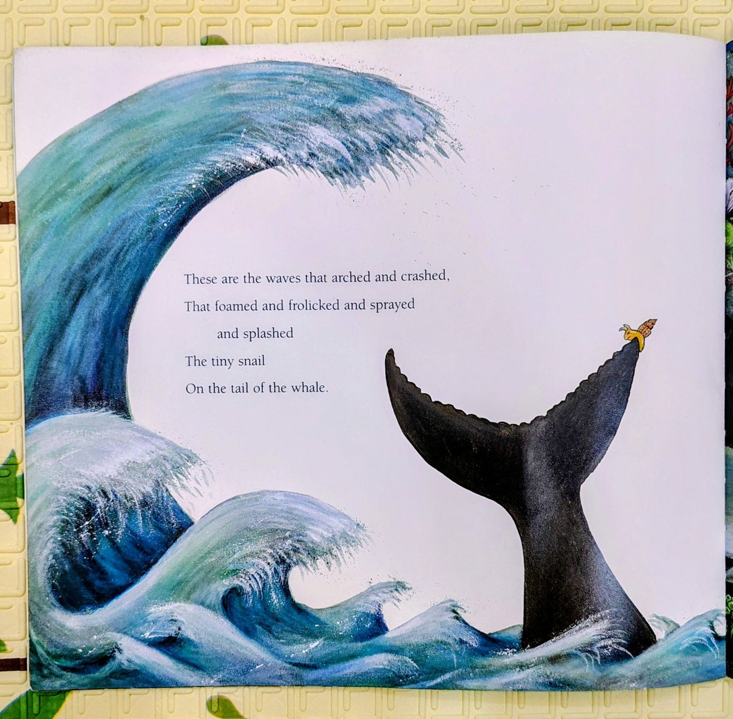 The Snail and the Whale by Julia Donaldson | Macmillan