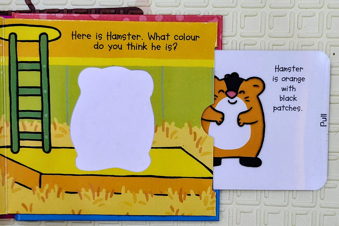 My Pets by Luana Rinaldo | Pull the Tab | Magic Colour Book