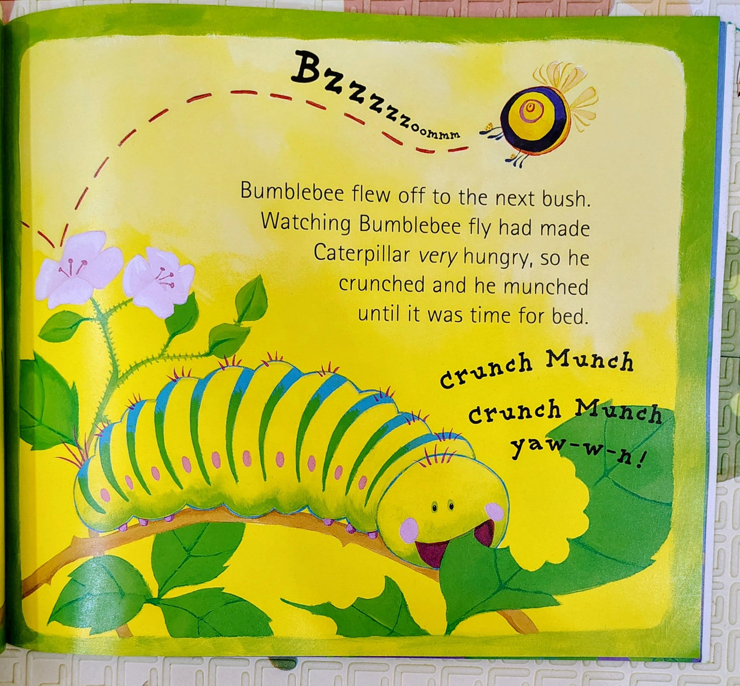 The Crunching Munching Caterpillar by Sheridan Cain | Little Tiger