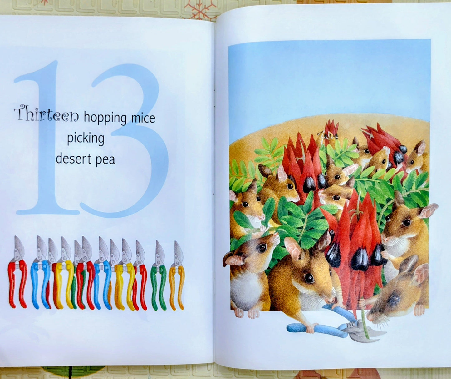 One Woolly Wombat by Kerry Argent | Scholastic