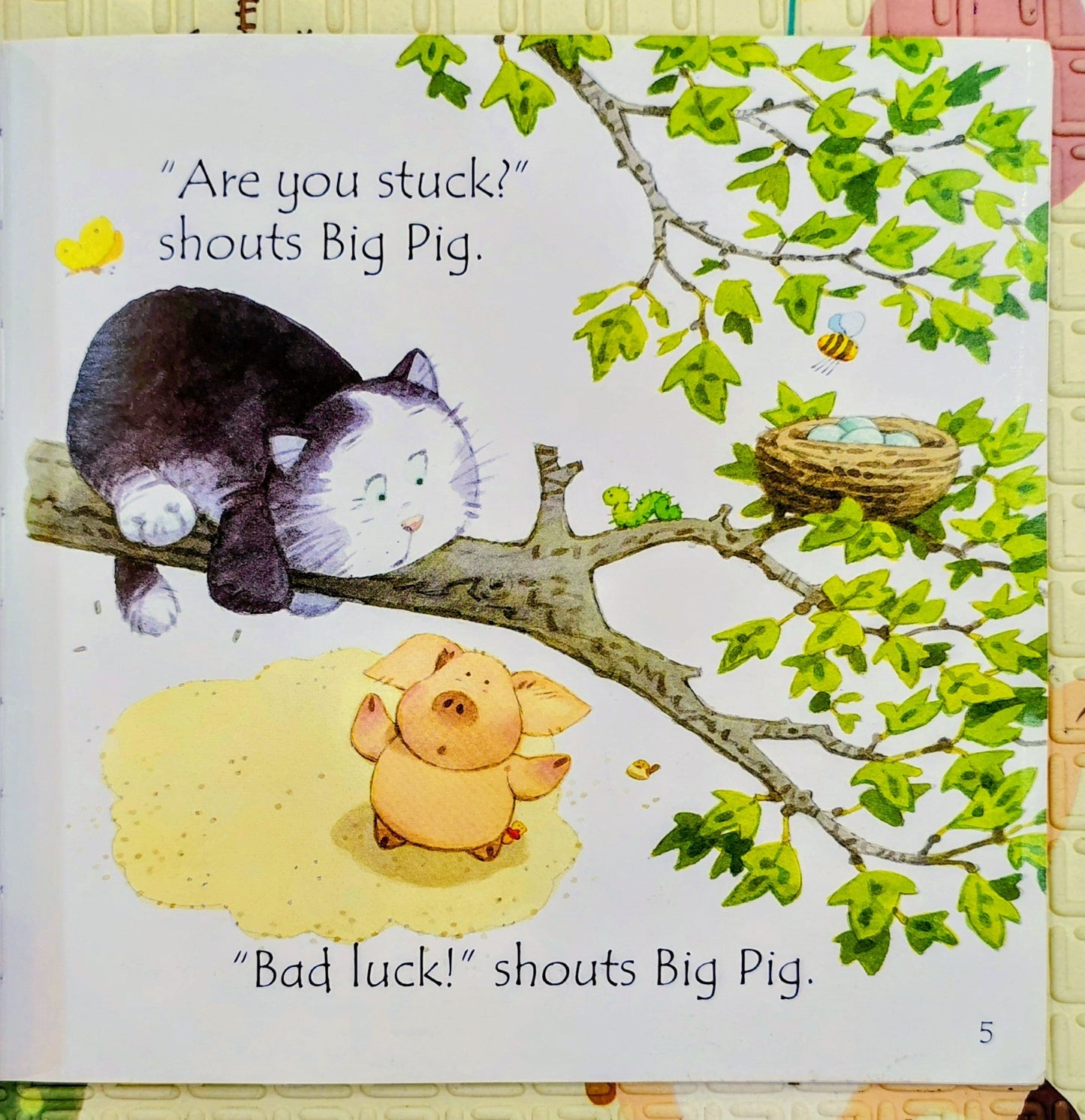 Fat Cat on a Mat by Phil Roxbee Cox & Stephen Cartwright | Usborne Phonics Readers