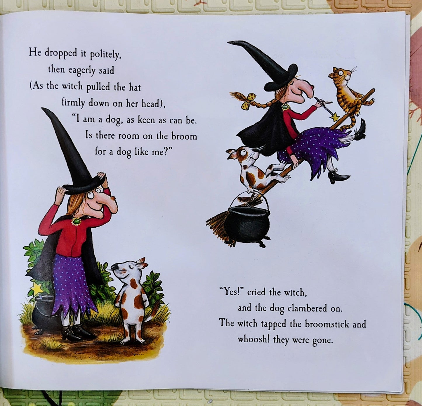 Room on the Broom by Julia Donaldson and Axel Scheffler| Macmillan