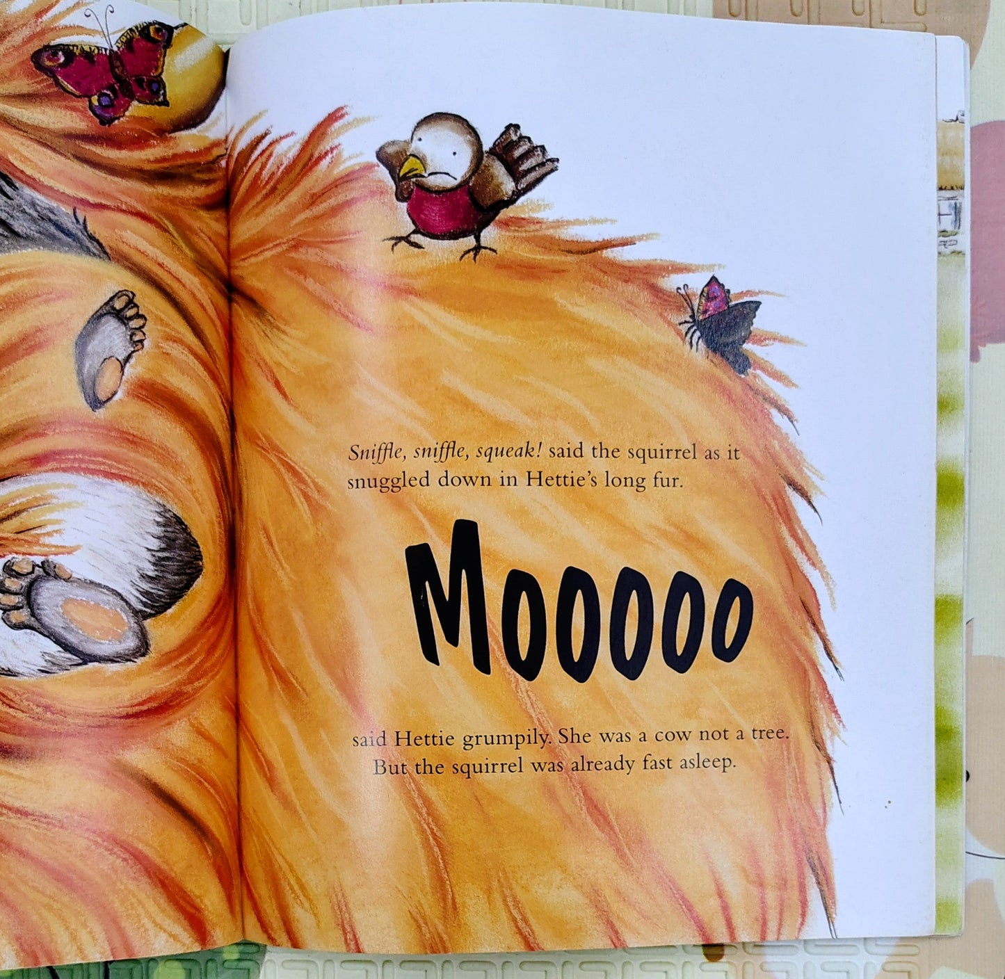 Hairy Hettie by Jo Allan | The Highland Cow who needs a Haircut