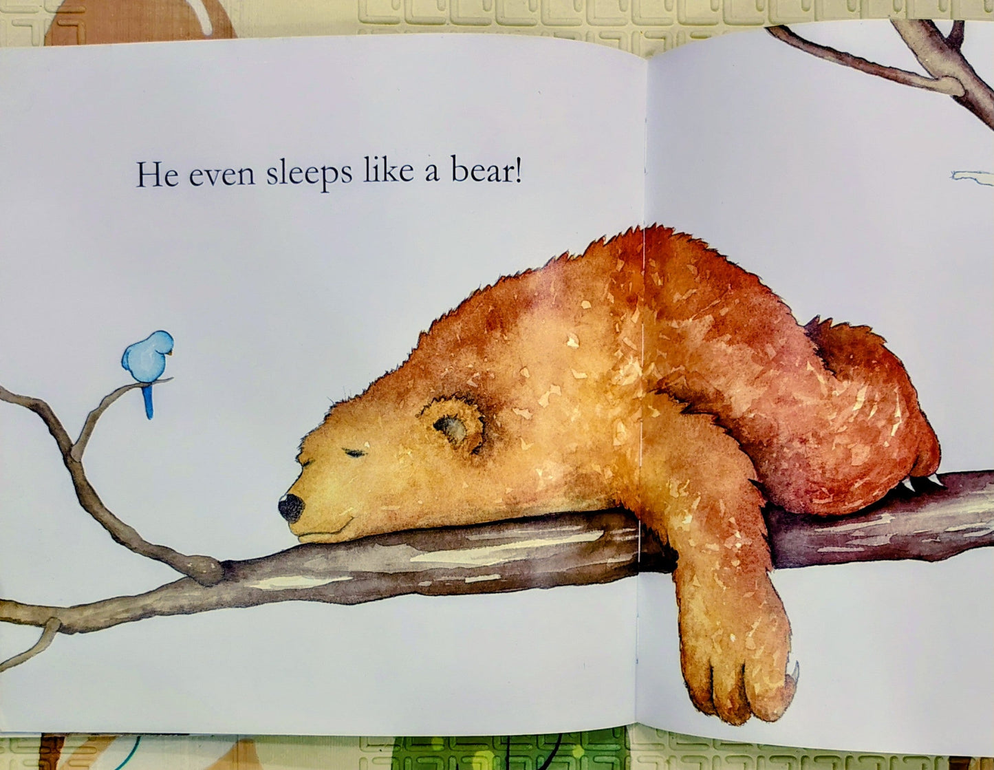 My Dad is a Bear by Nicola Connelly and Annie White