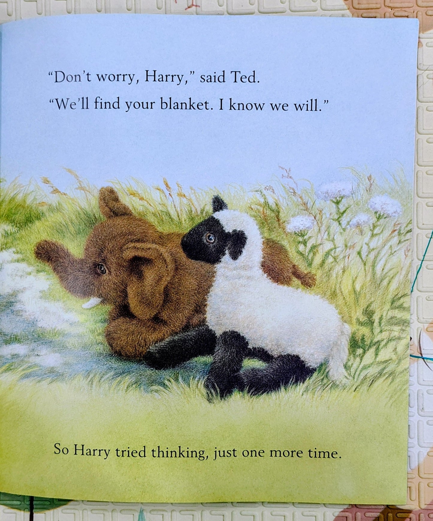 Hooray for Harry by Kim Lewis | Walker Books