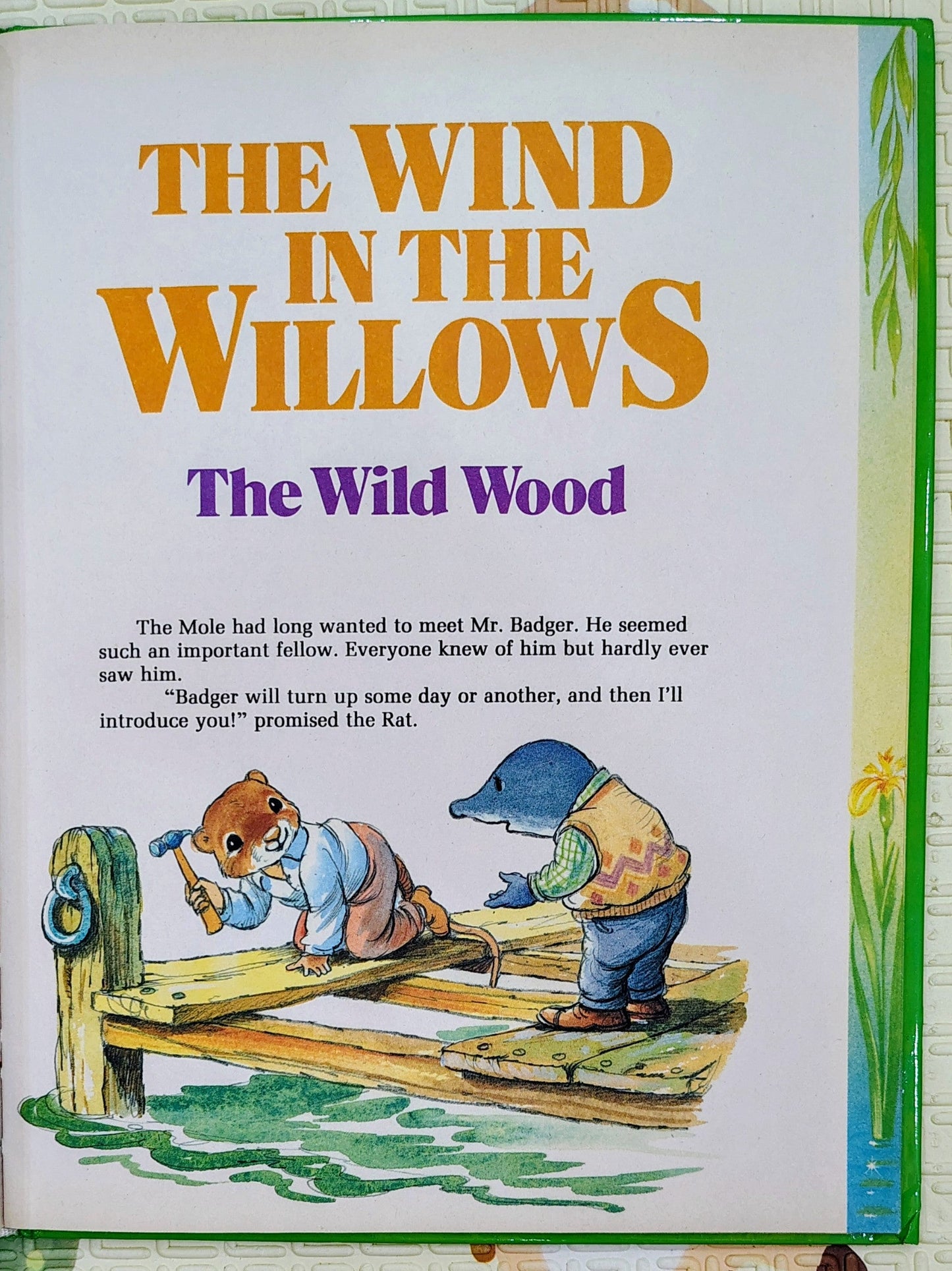 The Wind in the Willows Collection
