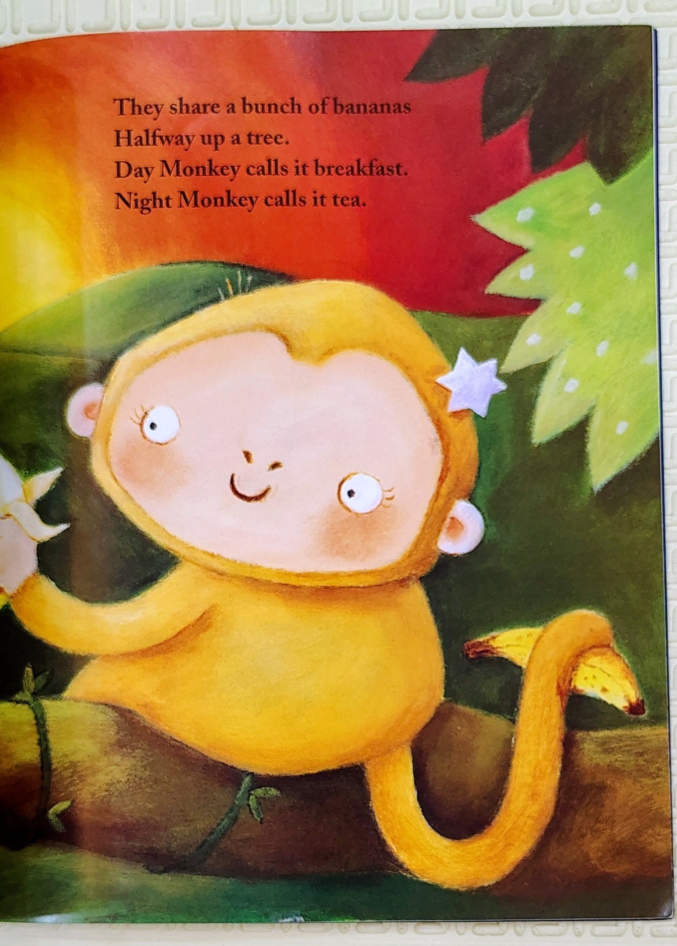 Night Monkey Day Monkey by Julia Donaldson | Egmont