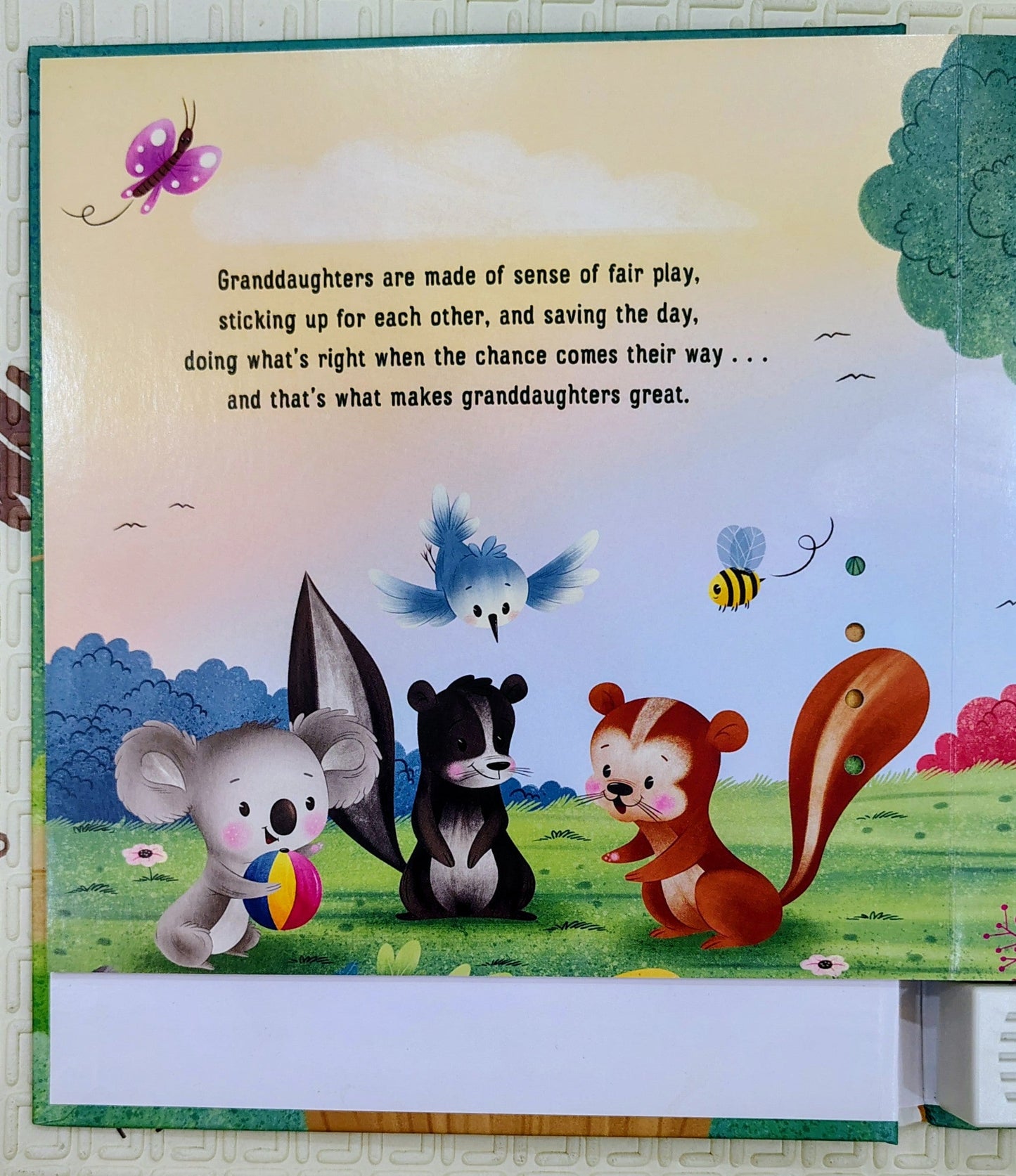 What Are Granddaughters Made Of? by Ellen Brenneman | Recordable Sound Storybook