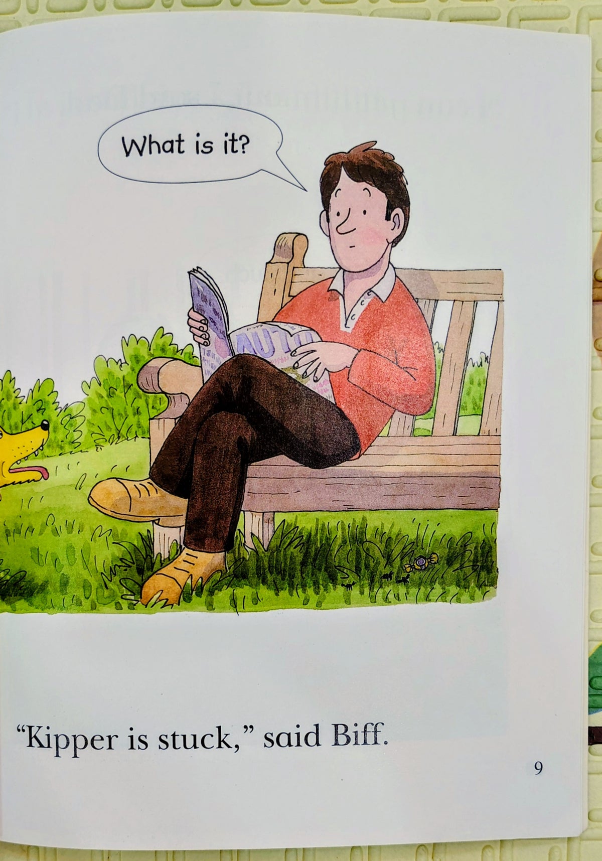 Quick! Quick! by Roderick Hunt and Alex Brychta | Oxford Level 4
