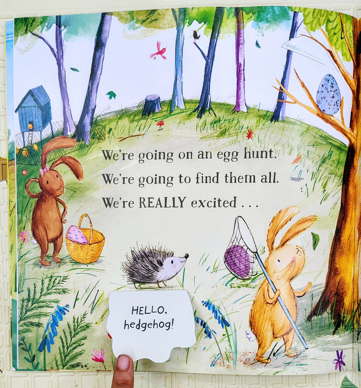 We're Going on an Egg Hunt by Martha Mumford | Bloomsbury | Lift the Flap