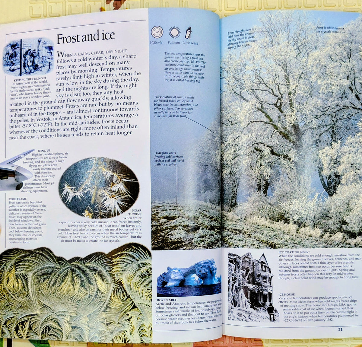 Eyewitness Weather by DK | See and Discover | Non-fiction