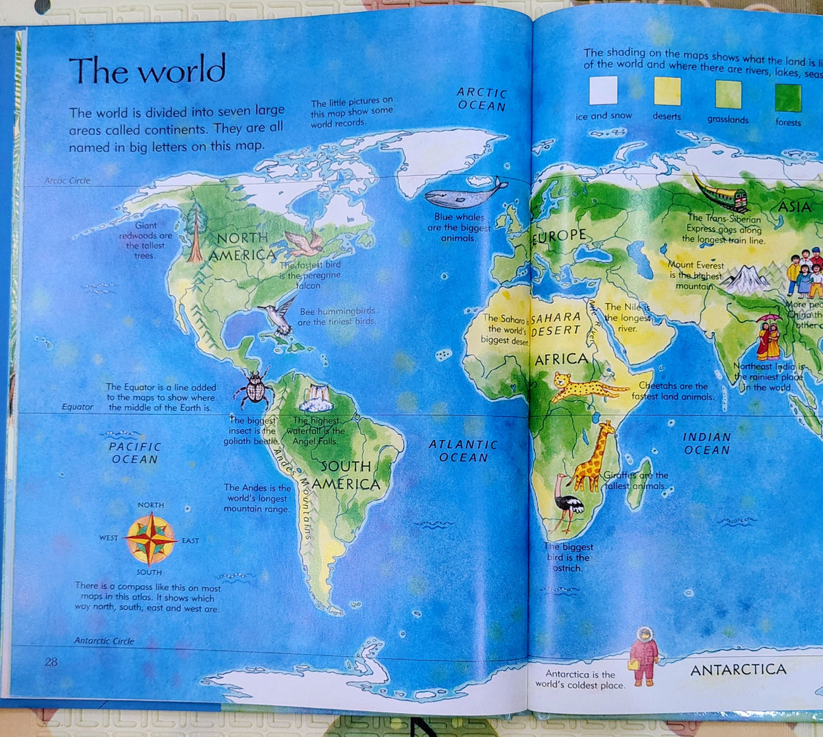 Usborne Children's Picture Atlas by Linda Edwards