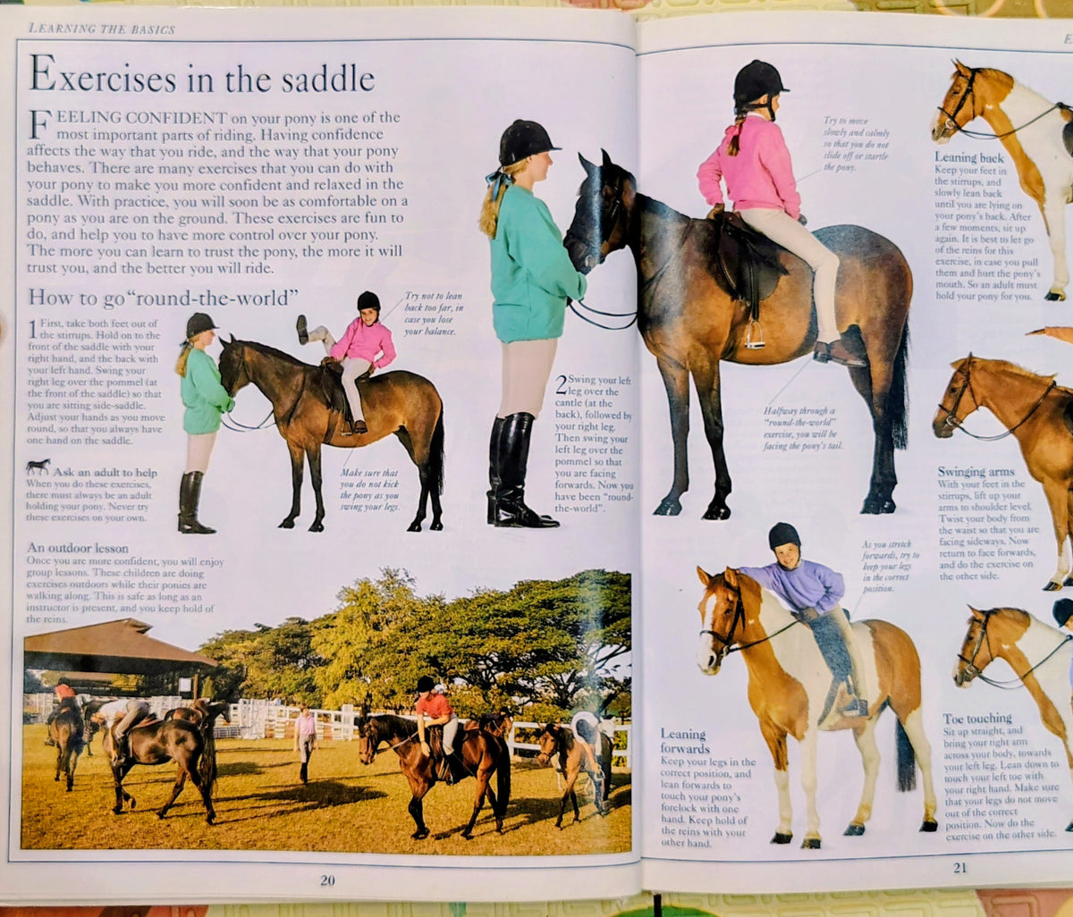 The Young Rider by Lucinda Green | DK | Sports & Hobbies