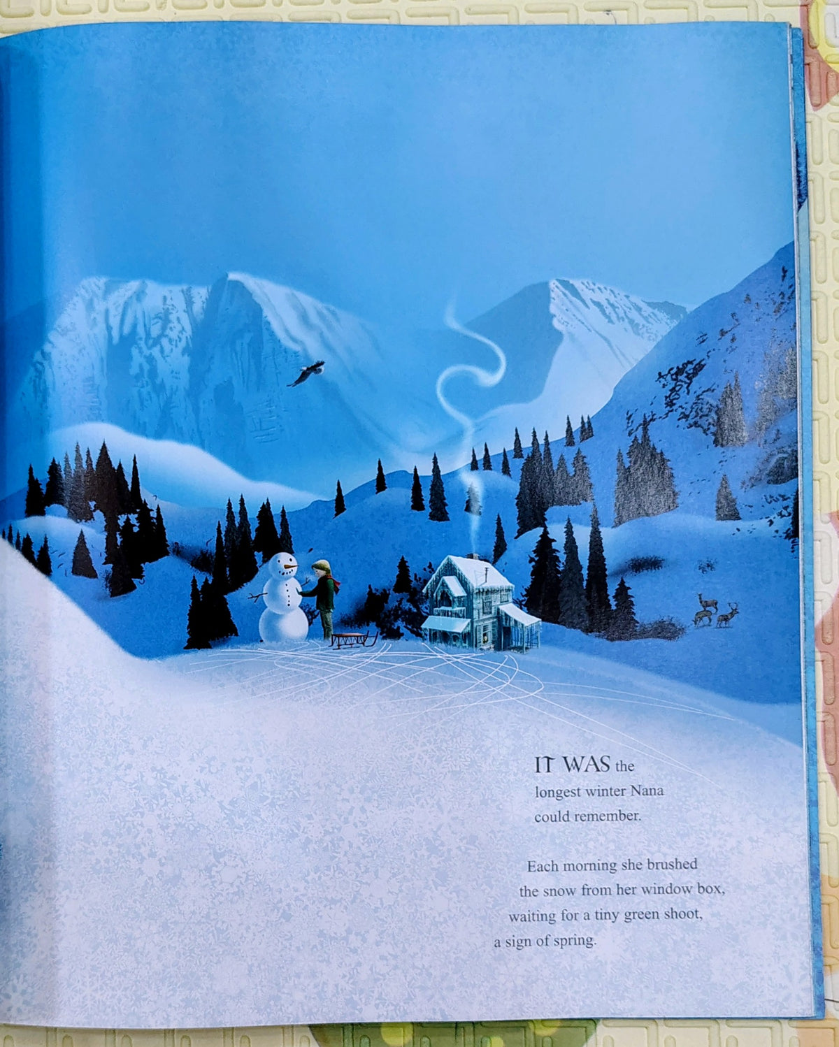 Winter's Child by Angela McAllister and Grahame Baker