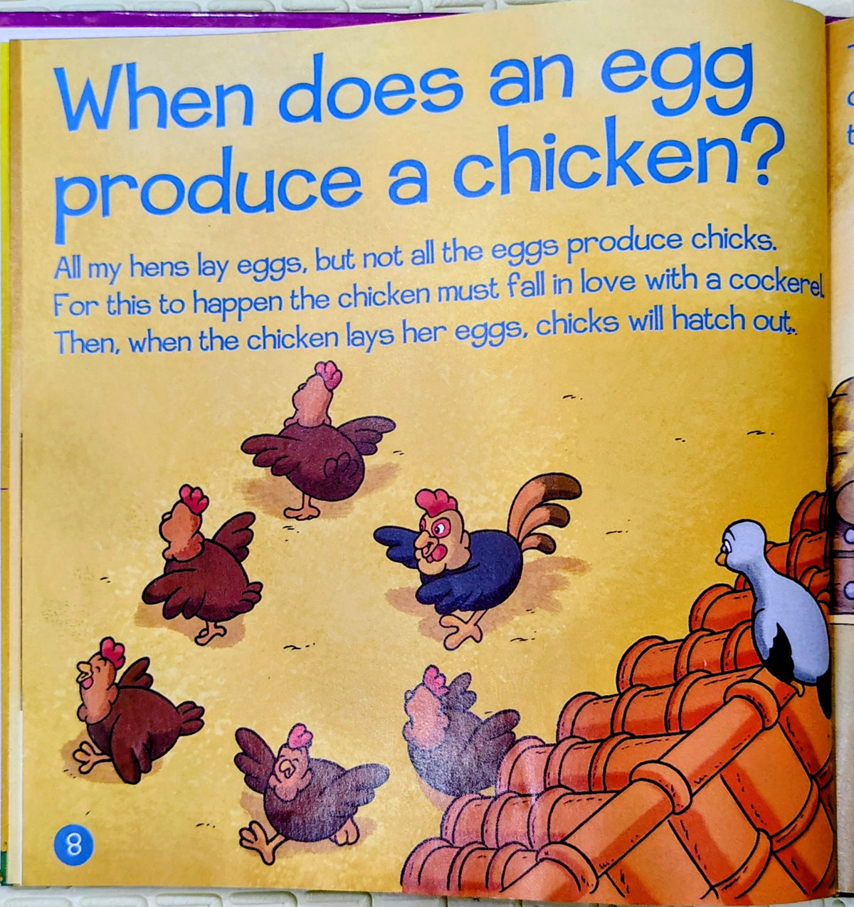 Produce from the Farm: Eggs | My Animal Farm