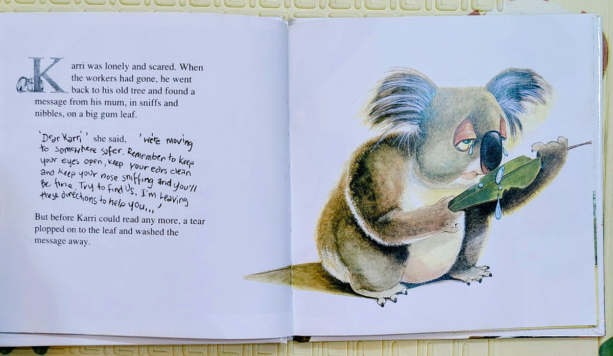 The Koala Who Bounced by Jimmy Thomson and Eric Löbbecke