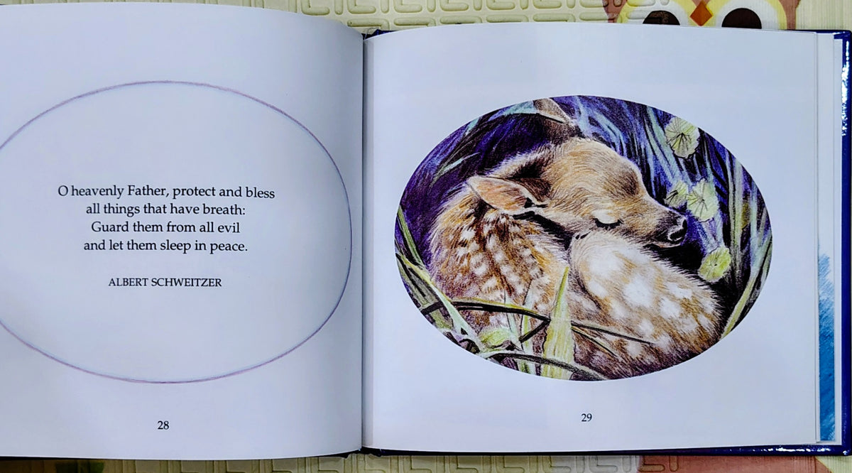 The Little Book of Prayers by Caroline Walsh | | Religion