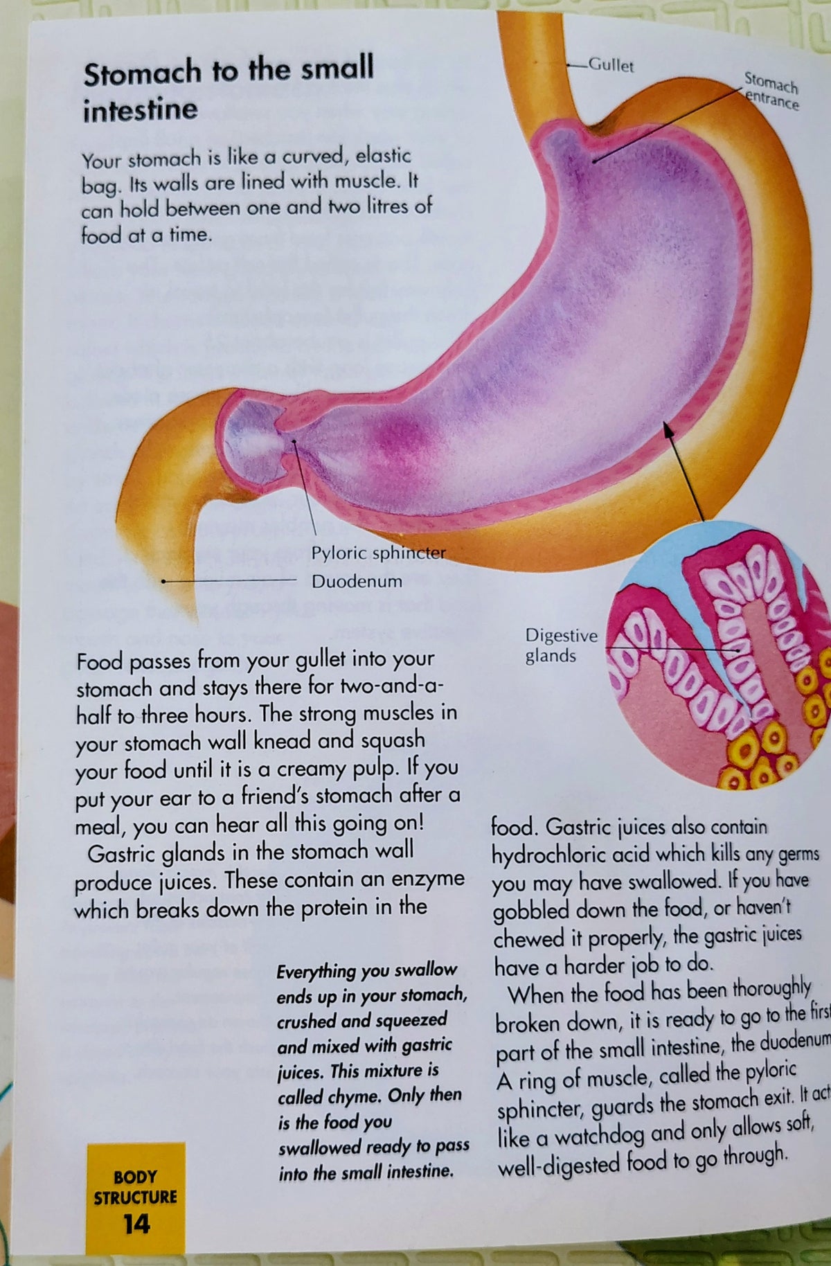 How My Body Works: Eating | Orbis Learn and Play