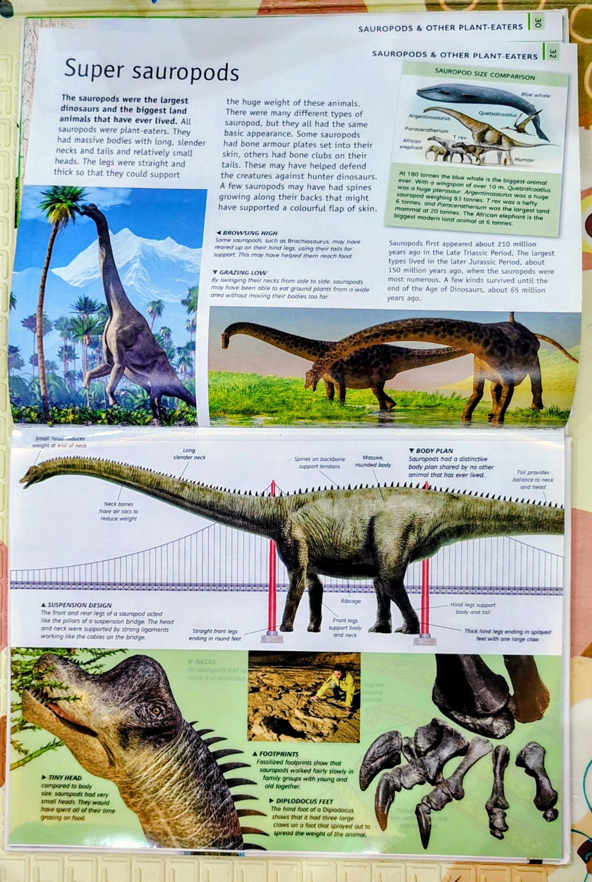 The Ultimate Guide Dinosaur by Miles Kelly | See through Pages