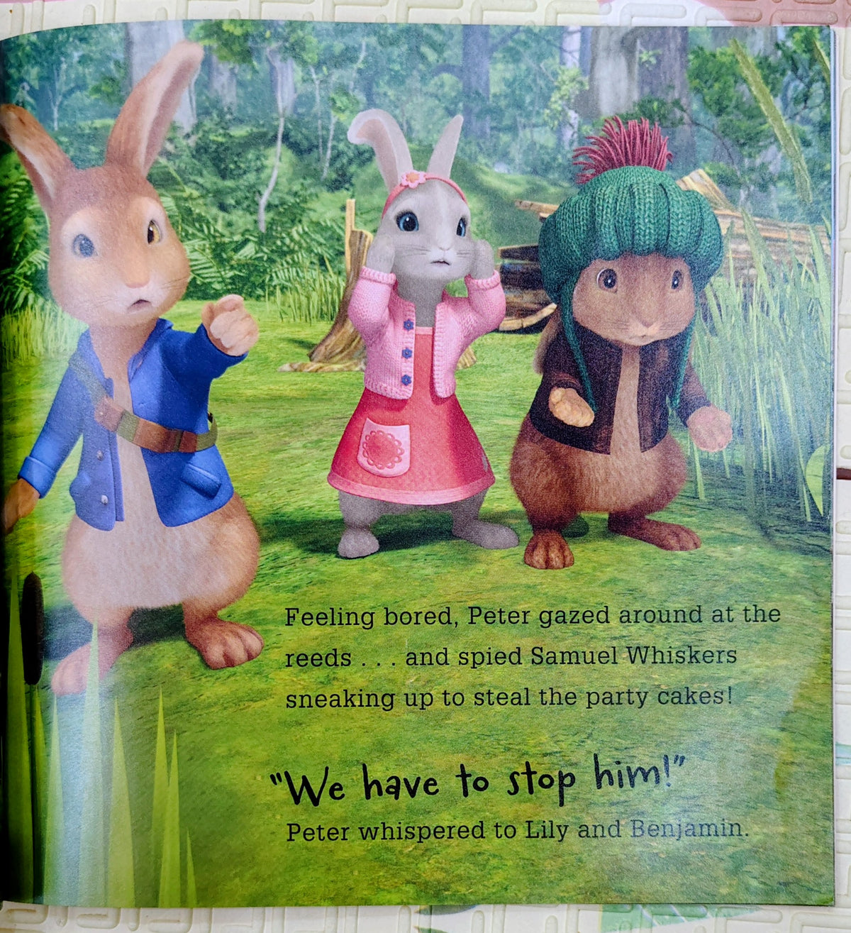 Peter Rabbit: Lily's Party Time | Puffin