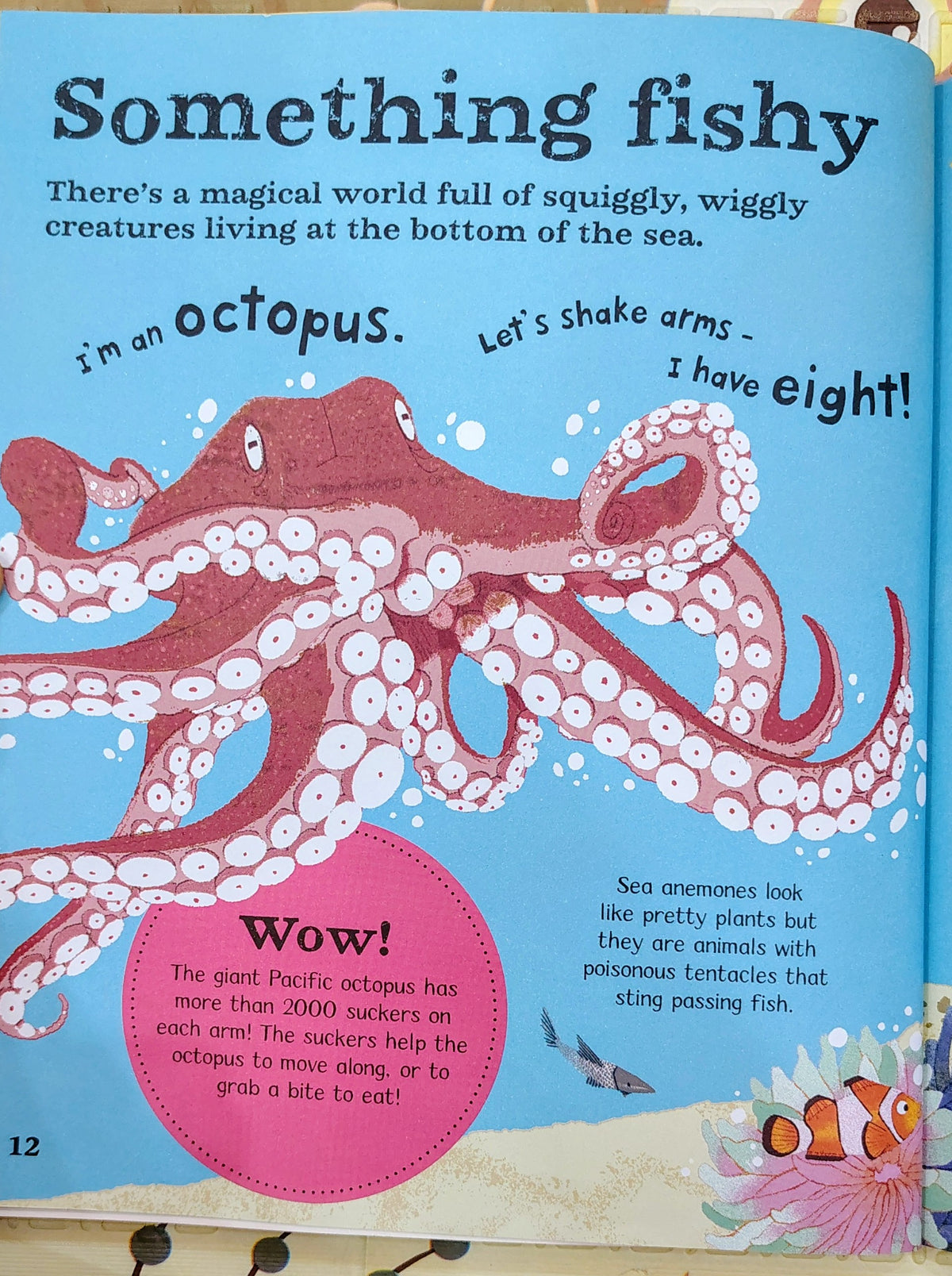 WOW! Animals: A Book of Extraordinary Facts | Kingfisher