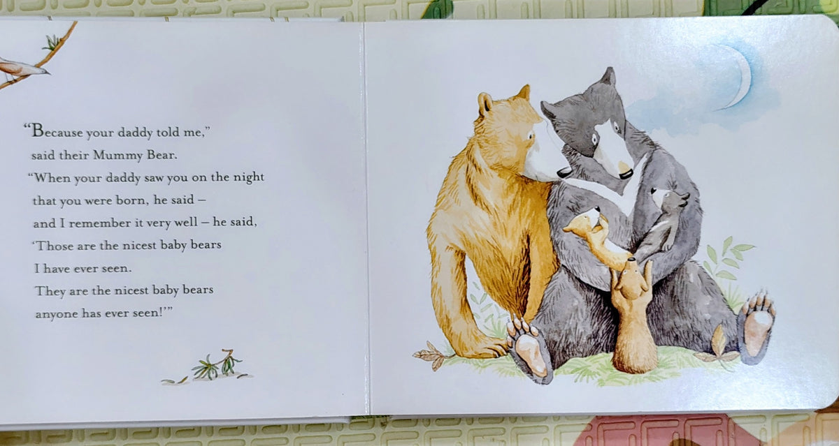 You're All My Favourites by Sam McBratney | Macmillan Boardbook