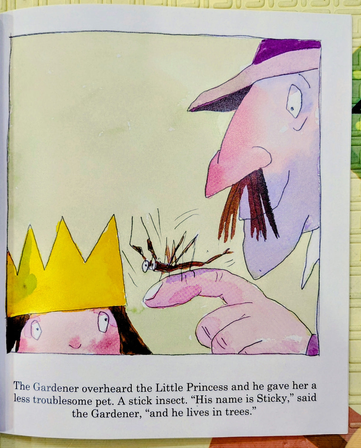 I Want a Bunny! by Tony Ross | Little Princess | Anderson Press