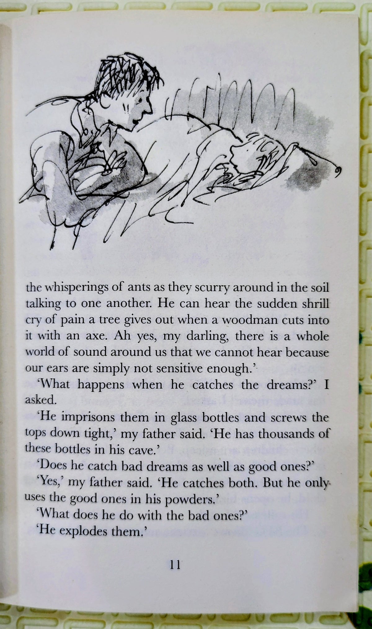 Danny the Champion of the World by Roald Dahl | Penguin