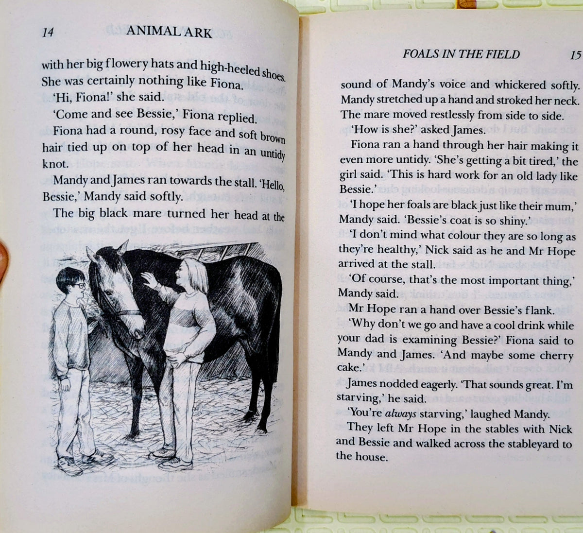 Animal Ark: Foals in the Field by Lucy Daniels | Hodder Children