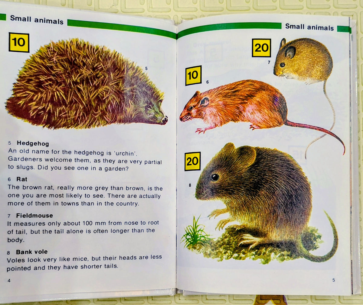 Find 50 in the Country | Activity Book