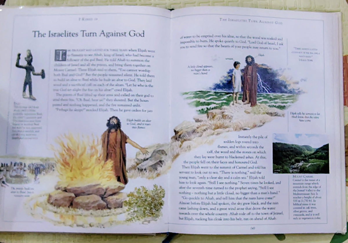 The Children's Illustrated Bible by Selina Hastings | Dorling Kindersley | Religious