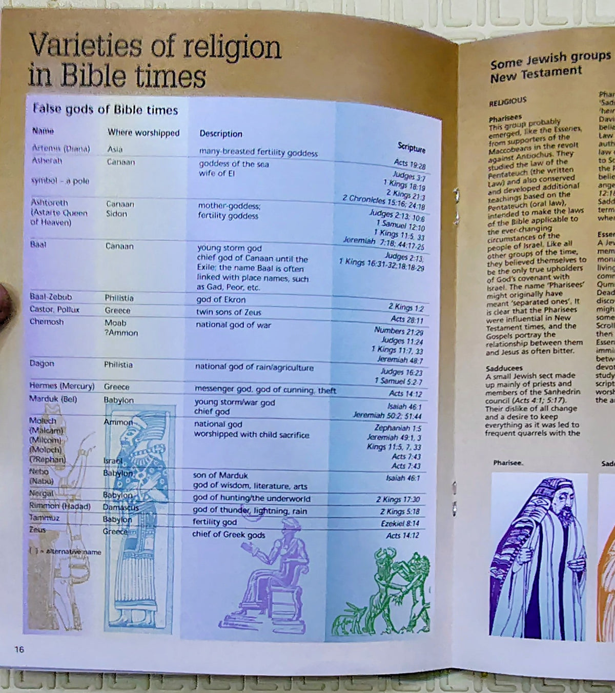 Bible Facts & Figures | Essential Bible Reference