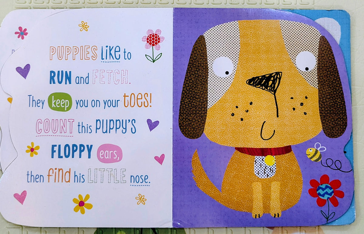 Baby Animals by Clare Fennel | Shapes Pages Boardbook