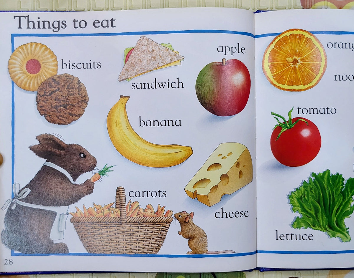 Little Rabbits' Picture Word Book by Alan Baker | Early Learning