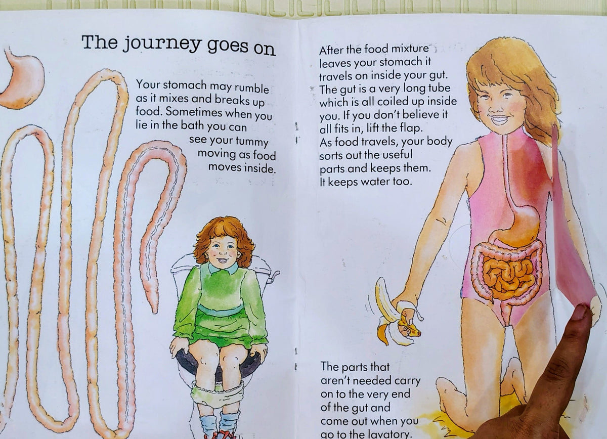 Outside-in | Lift-the-flap body book | Frances Lincoln