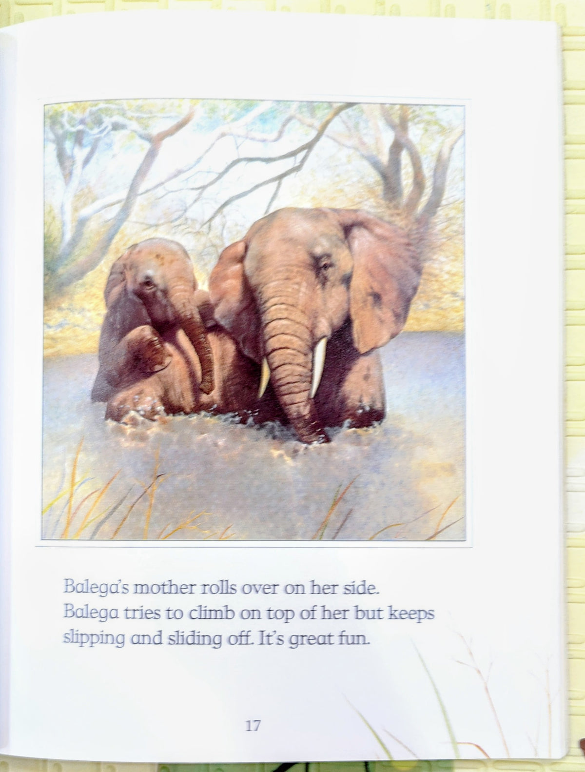 Baby Animals by Derek Hall and John Butler | Walker Books