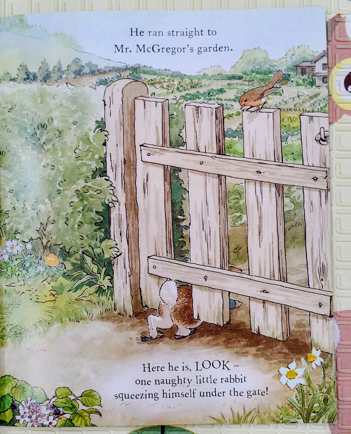 The Tale of a Naughty Little Rabbit Based on Story by Beatrix Potter | Booktrust